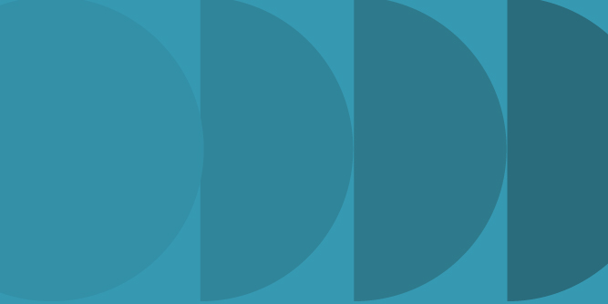 widget image